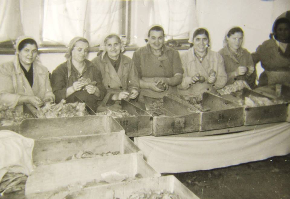 Христина /Титка/ Алагьозова (втората от ляво на дясно), края на 50-те г. Архив: Атанас Кендев