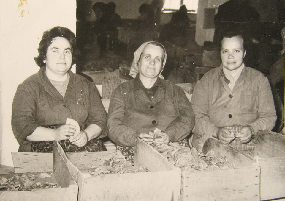 Христина /Титка/ Алагьозова (в средата), края на 50-те г.. Архив: Атанас Кендев